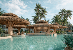 The Dom Dom - Gallery Image6