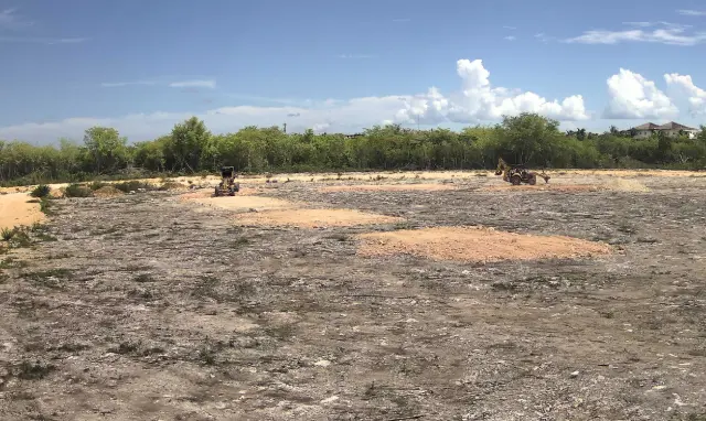 camara-en-vivo-timelapse